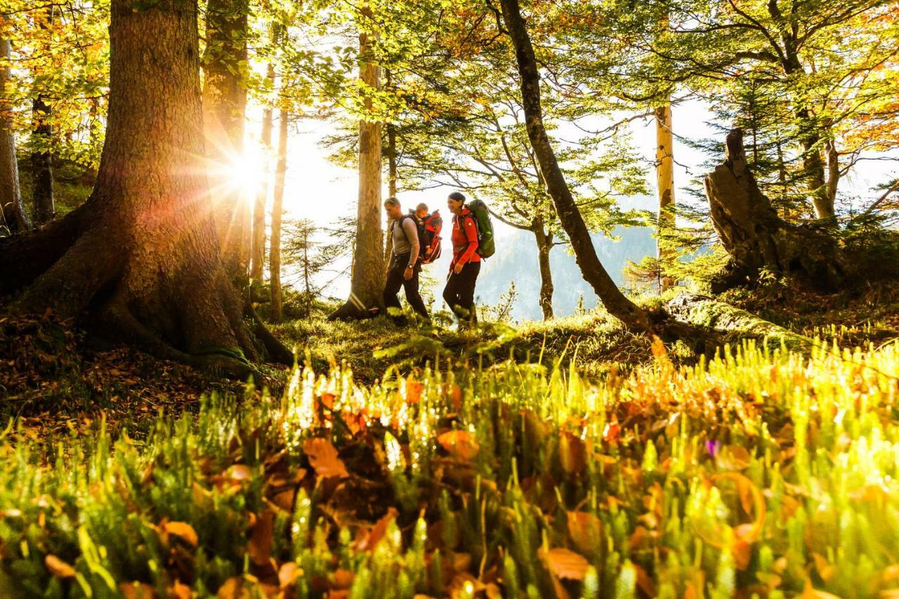 Schwabenbauernhof Lägenhet Ruhpolding Exteriör bild